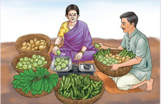 দাঁড়িপাল্লা ব্যবহার করে একজন সবজি বিক্রেতা